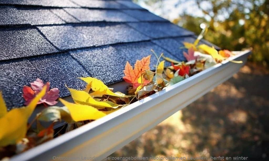Seizoensgebonden rioolproblemen Leusden: herfst en winter
