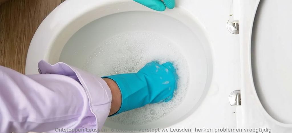 6 tekenen verstopt wc Leusden, herken problemen vroegtijdig